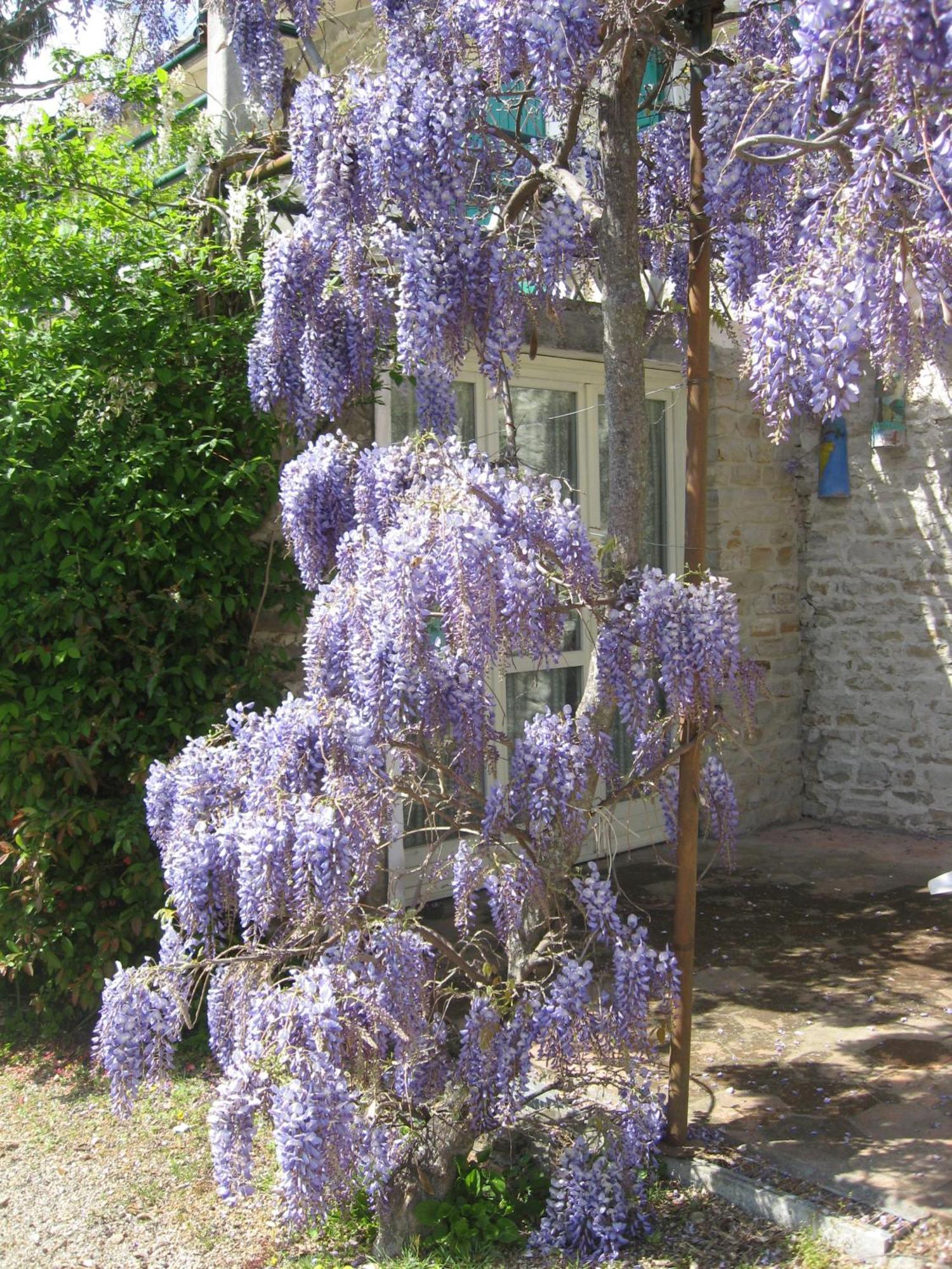 Agriturismo Cascina Serra Cossano Belbo Exteriér fotografie