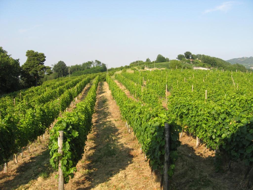 Agriturismo Cascina Serra Cossano Belbo Pokoj fotografie