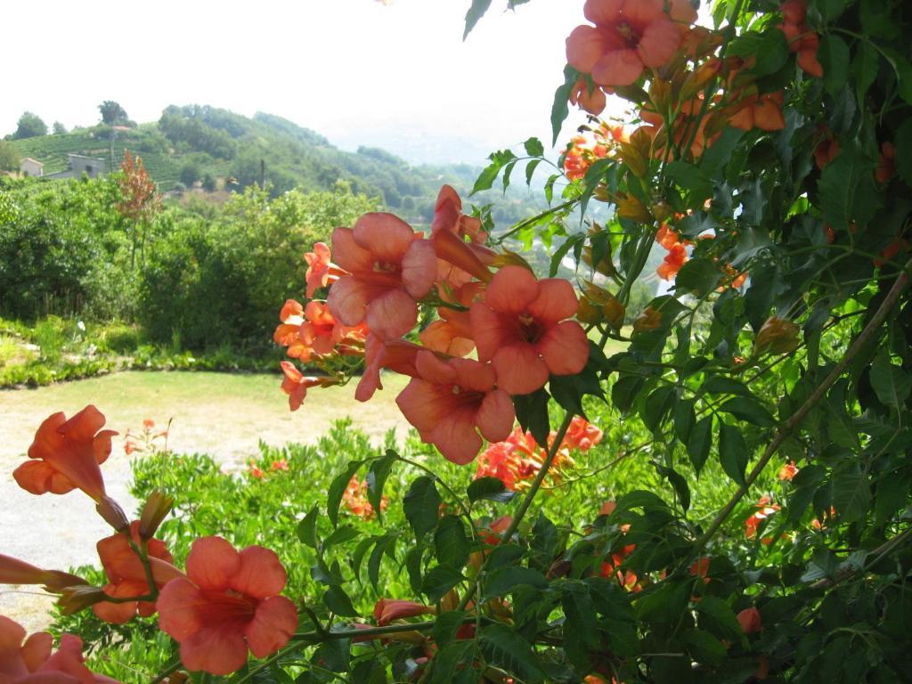 Agriturismo Cascina Serra Cossano Belbo Exteriér fotografie
